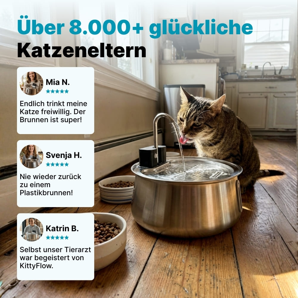 94 % der Katzen trinken mehr Wasser – schon ab Tag 1.