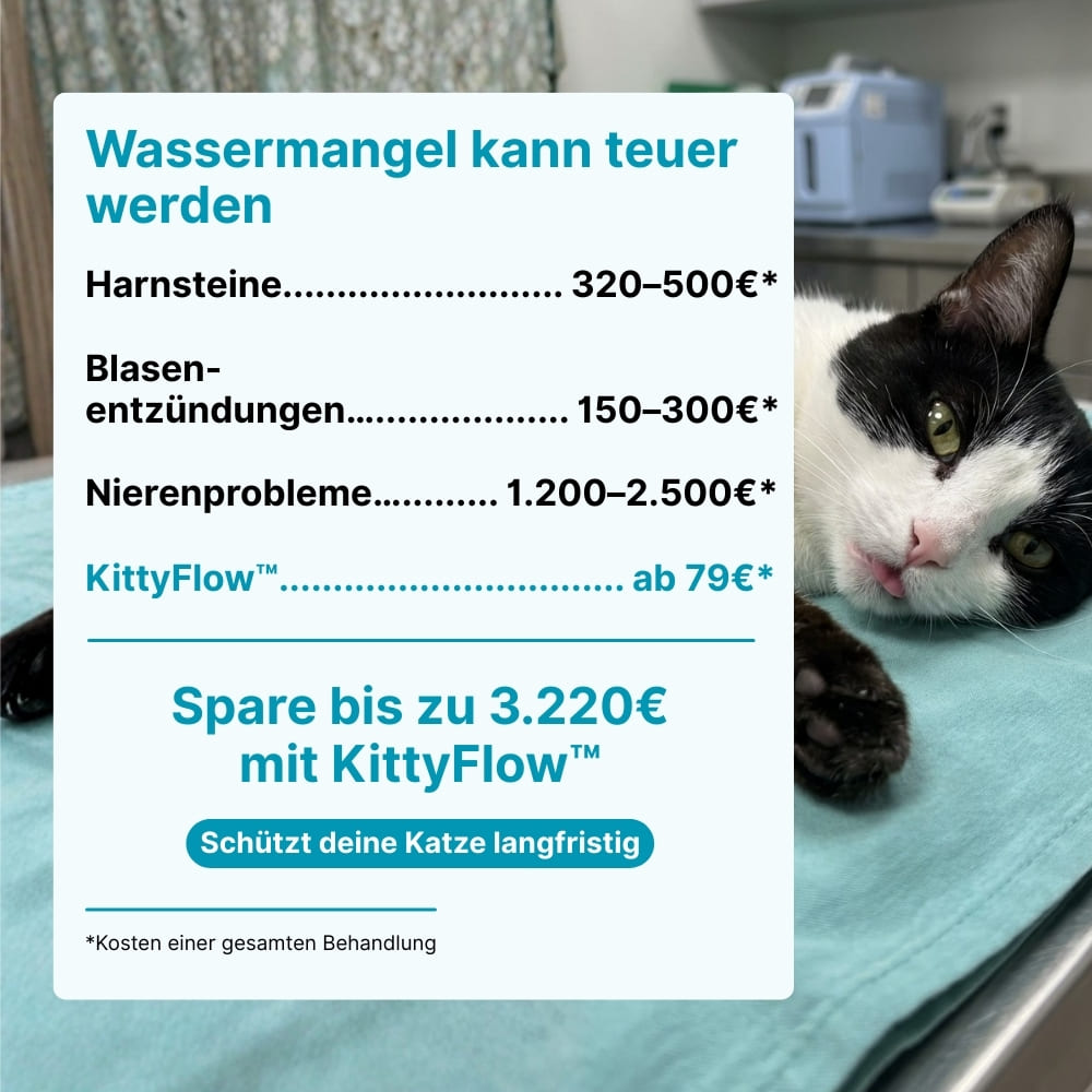 94 % der Katzen trinken mehr Wasser – schon ab Tag 1.