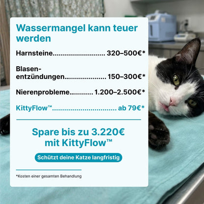 94 % der Katzen trinken mehr Wasser – schon ab Tag 1.