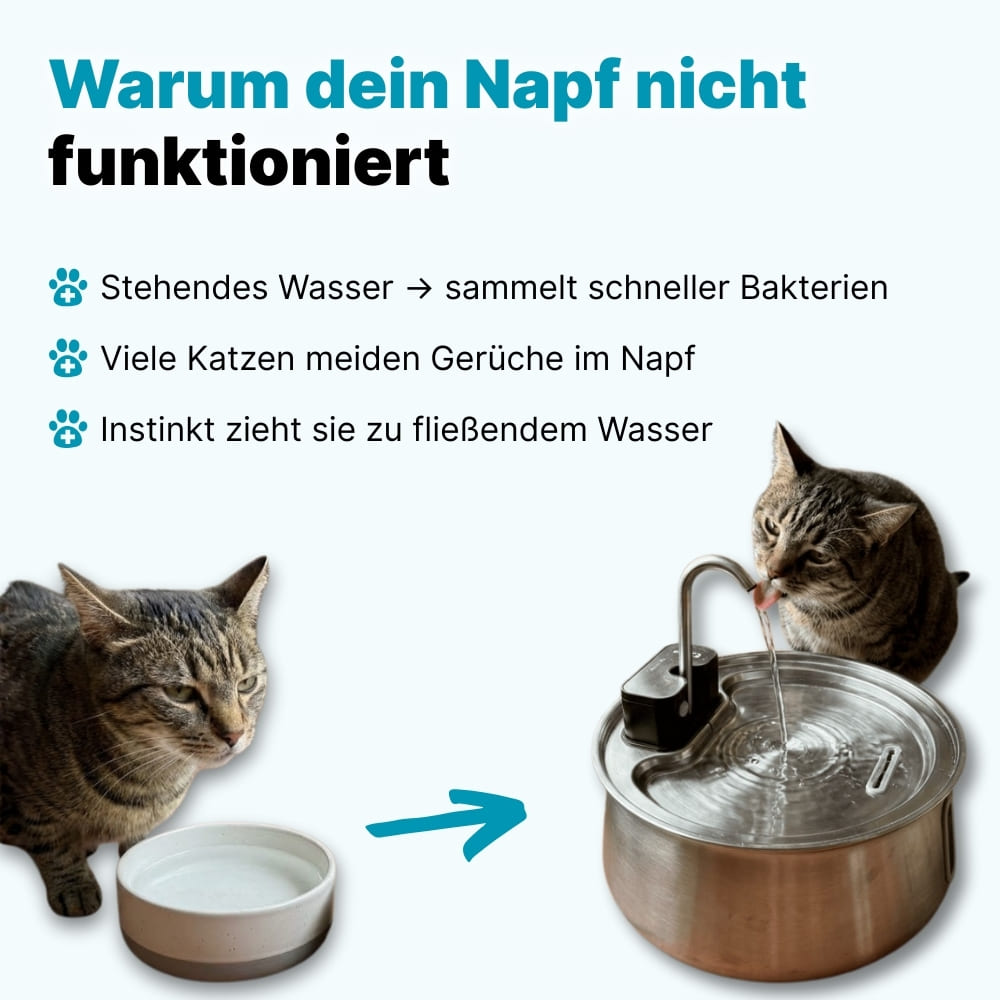 94 % der Katzen trinken mehr Wasser – schon ab Tag 1.