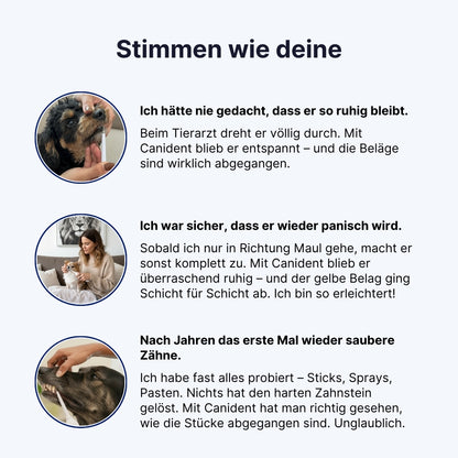 Canident Sonic Pro™