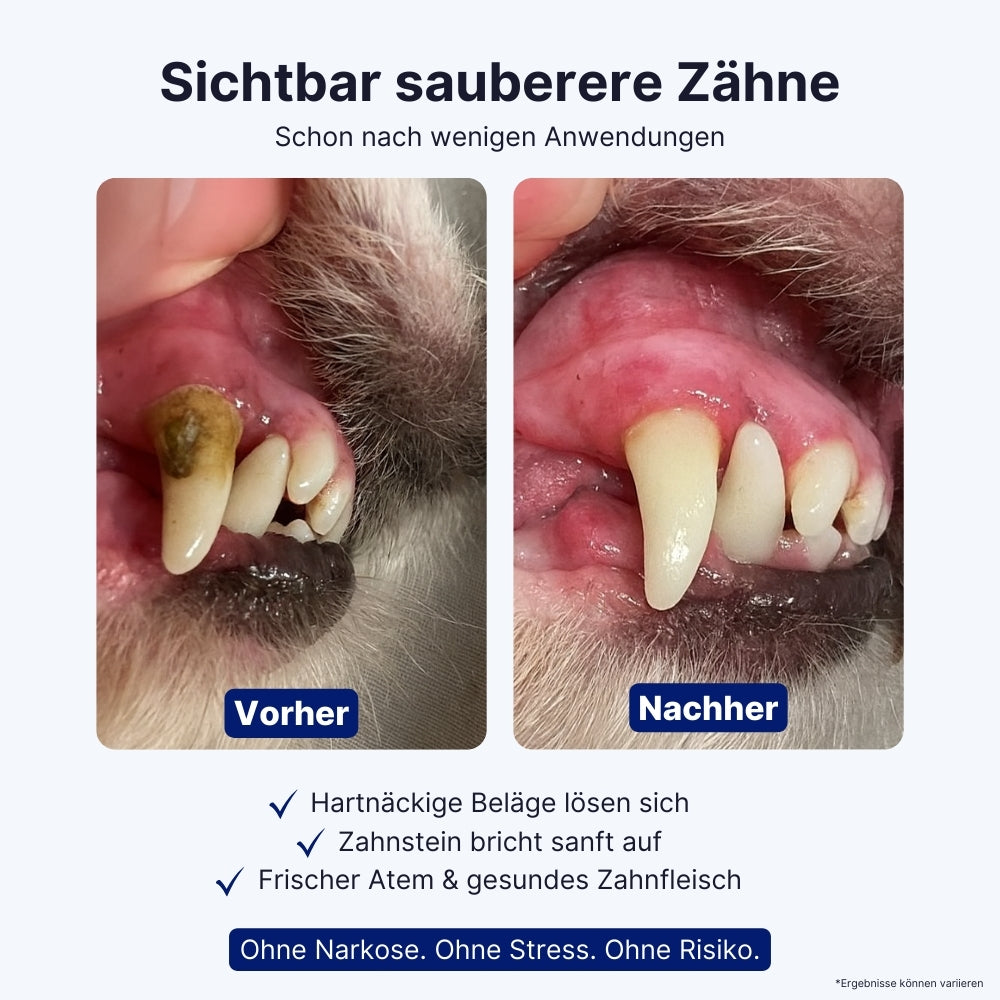 Canident Sonic Pro™