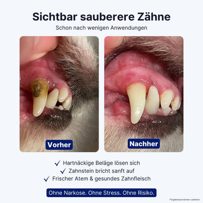 Canident Sonic Pro™