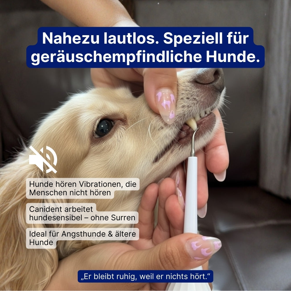 Canident Sonic Pro™