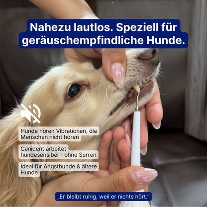 Canident Sonic Pro™