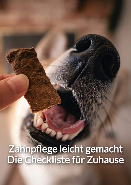 Zahnpflege leicht gemacht: Die Checkliste für Zuhause